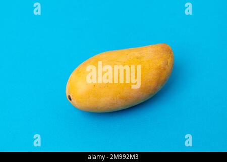 Die ganze Mango mit blauem Hintergrund und Kopierraum Stockfoto