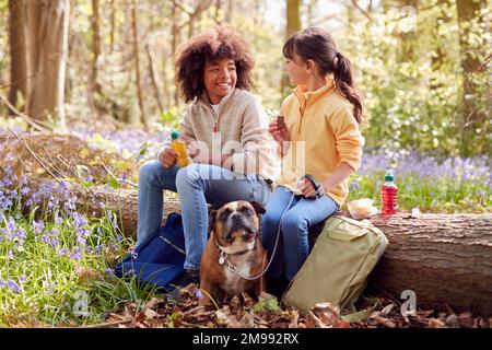 Zwei Kinder, die im Frühling mit dem Hund durch die Bluebell Woods spazieren und eine Pause machen, sitzen auf Log Stockfoto