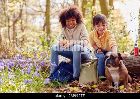 Zwei Kinder, die im Frühling mit dem Hund durch die Bluebell Woods spazieren und eine Pause machen, sitzen auf Log Stockfoto