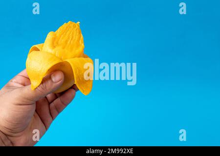 Hand mit einer geschälten manila-Mango, blauer Hintergrund und Kopierraum Stockfoto