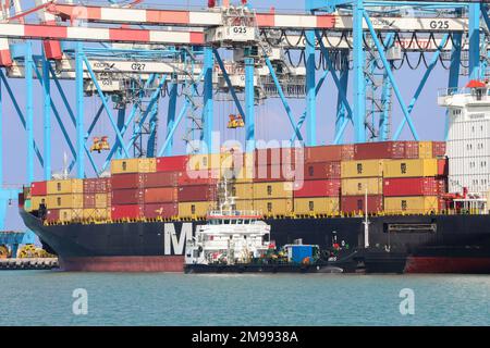 Haifa, Israel - 11. Oktober 2021: MSC Mega Containerschiff legte im Schiffshafen Haifa an. Stockfoto