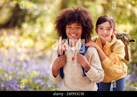 Porträt Von Zwei Kindern, Die Gemeinsam Im Frühling Durch Die Bluebell Woods Spazieren Stockfoto