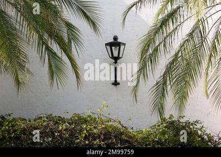 Klassische Straßenlampe an einer weißen Wand mit Schatten und Ästen von Palmen und Bäumen Stockfoto