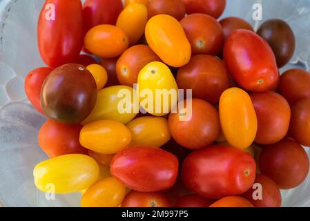 Kleine regenbogenfarbene Kirschtomaten. Stockfoto