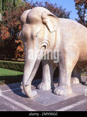 Mythische Elefantenstatue, Heiliger Weg, die Ming-Gräber, Changping District, Peking, Die Volksrepublik China Stockfoto