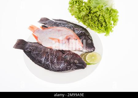 Fisch, roter und silberner Mojarra auf weißem Hintergrund. Stockfoto