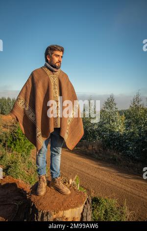 Ein chilenischer Mann mit Blick über den chilenischen Wald und braunem Chamanto, der die WRC-Rallye von Chile von einem Baumstumpf aus beobachtet. Niedrige Sonne, blauer Himmel Stockfoto