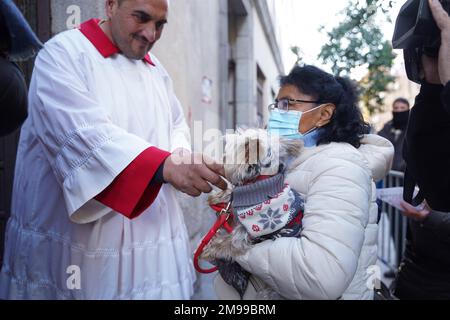 Madrid, Spanien. 17. Januar 2023. Während der Veranstaltung Vueltas de San Anton in Madrid am Dienstag, den 17. januar 2023. Kredit: CORDON PRESS/Alamy Live News Stockfoto