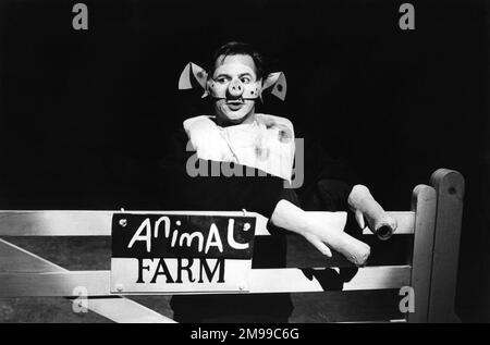 Barrie Rutter (Napoleon) in DER TIERFARM von George Orwell im Cottesloe Theatre, National Theatre (NT), London SE1 25/04/1984, angepasst und Regie von Peter Hall Design: Jennifer Carey Beleuchtung: John Bury Bewegung: Stuart Hopps Stockfoto