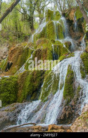 Ein vertikaler Schuss des kaskadierenden Wassers, das die moosbedeckten Felsen im Wald herunterfällt Stockfoto