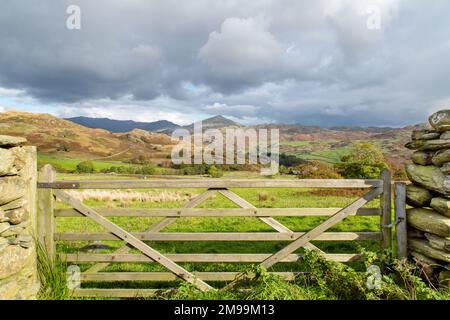 Ein traditionelles Holztor im Lake District, Cumbria, England, Großbritannien Stockfoto