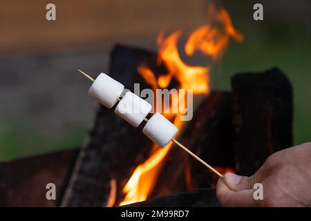 marshmallow auf einem Stock, der über einem Campingfeuer geröstet wird. Camping, Sommerkonzept Stockfoto