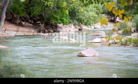 Die Steine in einem Bach mit fließendem Wasser umgeben von grüner Vegetation Stockfoto