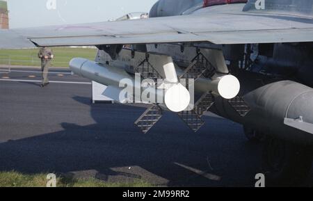 Farnborough 92 - Mikoyan MiG-29S (9-13S) (MSN: 2960507682) „Blue 407“, Rückansicht der Vympel NPO R-77 Luft-Luft-Raketen auf den Unterpylonen. Stockfoto