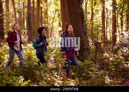 Gruppe Junger Weiblicher Freunde Auf Campingurlaub Wandern Durch Wälder Und Genießen Der Natur Zusammen Stockfoto