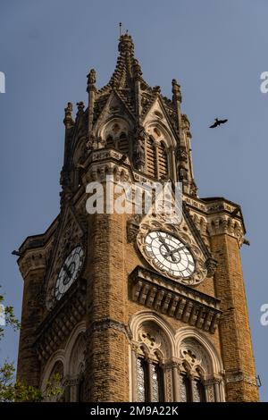 Mumbai, Maharashtra, Indien 31. 2022. Dezember: Der Rajabai Uhrenturm auf dem Campus der Universität von Mumbai, die zum Weltkulturerbe gehört Stockfoto