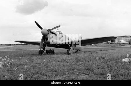 Fairey Firefly F Mk.I G-ASTL (msn F5607) Ex Z2033 des Skyfame-Museums an einem Flugtag des Skyfame-Museums. Stockfoto