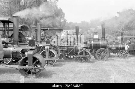 Zwei Aveling- und eine Marshall-Straßenwalze in Begleitung von zwei Allzwecktraktoren und einem Foden-Dampfwagen Stockfoto