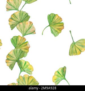 Ginkgo Biloba grüne und gelbe Blätter mit nahtlosem Muster, bedrucktes Blattwerk in der Botanik. Aquarelle. Hinterlässt Clip-Art. Stockfoto
