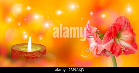 Die Amaryllis-Blume steht neben einer beleuchteten Kerze vor dem Hintergrund abstrakter Unschärfe-Lichter. Stockfoto