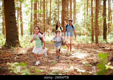 Familie Mit Rucksäcken Wandern Oder Spazierengehen Durch Die Waldlandschaft Stockfoto