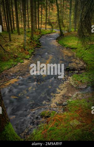 Feldaistischer Fluss im Tal bei Rainbach im Mühlkreis am Wintertag ohne weißen Schnee Stockfoto