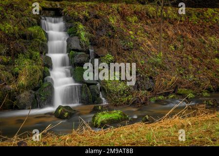 Feldaistischer Fluss im Tal bei Rainbach im Mühlkreis am Wintertag mit kleinem Wasserfall Stockfoto