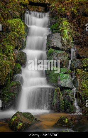 Feldaistischer Fluss im Tal bei Rainbach im Mühlkreis am Wintertag mit kleinem Wasserfall Stockfoto