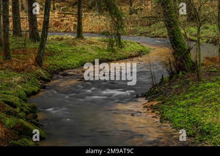 Feldaistischer Fluss im Tal bei Rainbach im Mühlkreis am Wintertag ohne weißen Schnee Stockfoto