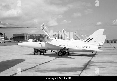 Royal Air Force - Folland Gnat T.1 XR540 (msn FL551), vom Yellowjacks Aerobatic Display Team der Nr. 4 Flying Training School, an der RAF Little Rissington. (Die Yellowjacks wurden 1964 aufgelöst und 1965 unter der Central Flying School als die Red Arrows reformiert.) Stockfoto