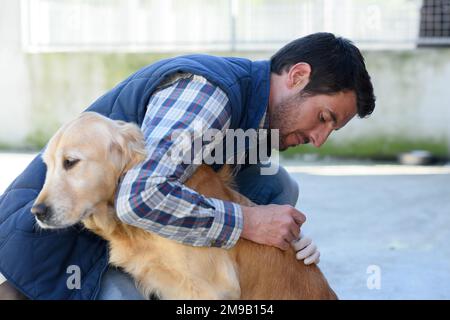 Tierarzt überprüft die Gesundheit eines Hundes Stockfoto