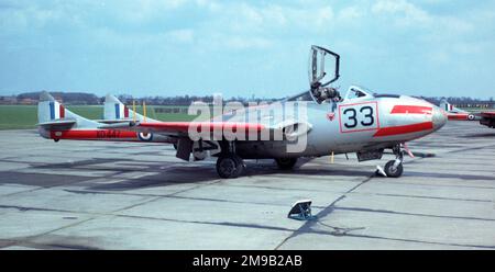 Royal Air Force - de Havilland DH.115 Vampire T.11 XD447 '33' (msn 8091), von Nr.8 Flugschule an der RAF Swinderby, im April 1963. Stockfoto