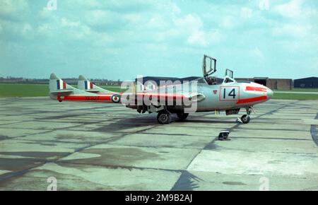 Royal Air Force - de Havilland DH.115 Vampire T.11 XE927 '14' (msn 8091), von Nr.8 Flugschule an der RAF Swinderby, im April 1963. Stockfoto