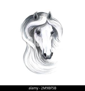 Porträt eines weißen Pferdes. Aquarelldarstellung. Für Ausdrucke, Aufkleber und Etiketten. Für Postkarten, Visitenkarten und Verpackungen. Für Plakate mit Bannern Stockfoto