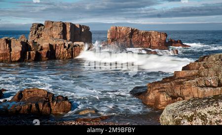 Daisy Rock, Hopeman Stockfoto