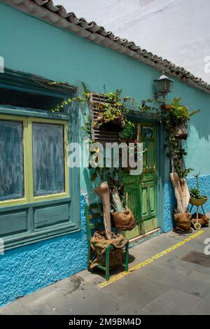 Alte Fassade mit grünen Fenstern, Fensterläden, Türen, Pflanzen und Dekoration in Puerto de La Cruz Stadt, Teneriffa, Spanien Stockfoto