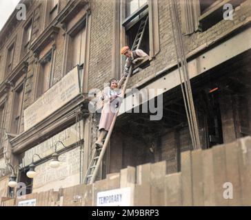 Das Grundstück, das unten steht, liest das Schild, aber unser Mädchen geht eine Leiter hoch, um Alexandra-Rosen durch ein offenes Fenster zu verkaufen, für wohltätige Zwecke. Stockfoto