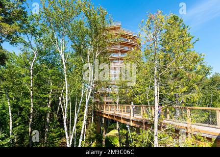 Ein Holzturm und eine erhöhte Promenade im Laurentian Boreal Forest, Quebec, Kanada. An einem sonnigen Sommertag mit einem unerkennbaren Gemüt aufgenommen Stockfoto