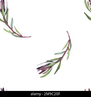 Wasserfarbenes, nahtloses Muster mit magentafarbenem protea, blühenden Blüten im Hintergrund und proteablättern. Stockfoto