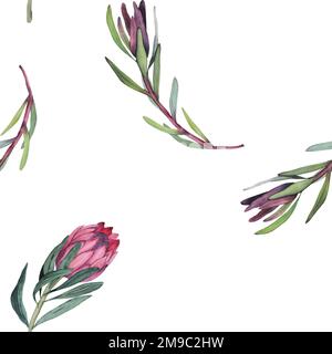 Wasserfarbenes, nahtloses Muster mit magentafarbenem protea, blühenden Blüten im Hintergrund und proteablättern. Stockfoto