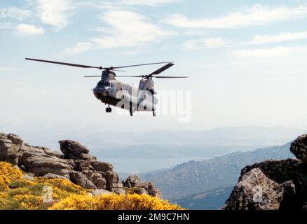 Royal Air Force - Boeing-Vertol Chinook HC.1 ZA672 (msn M/A003), während des Austauschs der Staffel an BHELTRA-V von FAMET (Transport Helicopter Battalion 5 of Spanish Army Aviation) Stockfoto