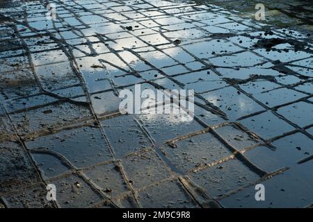 Tessellierte Pflastersteine Eaglehawk Neck Tasmanien. Stockfoto