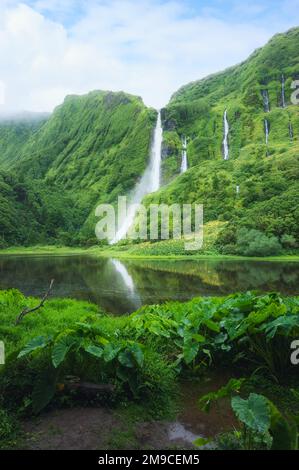 Wasserfälle, ein grünes Paradies, versteckt auf Flores Island, Azoren, Portugal Stockfoto