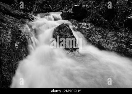 In der Regenzeit fließt ein überfluteter Strom durch den Park in Kalifornien Stockfoto