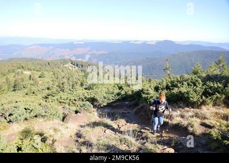 KARPATEN, UKRAINE - 8. OKTOBER 2022 Mount Hoverla. Karpaten in der Ukraine im Herbst. Touristen wandern durch Hügel und Wälder bis zum Gipfel des Hoverla Berges Stockfoto