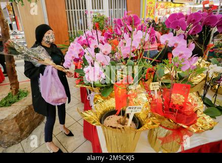 Richmond, Kanada. 17. Januar 2023. Eine Frau kauft am 17. Januar 2023 Blumen auf der Chinese Lunar Silvester Flower and Gift Fair in Richmond, British Columbia, Kanada. Kredit: Liang Sen/Xinhua/Alamy Live News Stockfoto