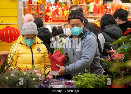 Richmond, Kanada. 17. Januar 2023. Auf der chinesischen Neujahrsblume- und Geschenkmesse in Richmond, British Columbia, Kanada, kaufen die Menschen am 17. Januar 2023 Pflanzen. Kredit: Liang Sen/Xinhua/Alamy Live News Stockfoto