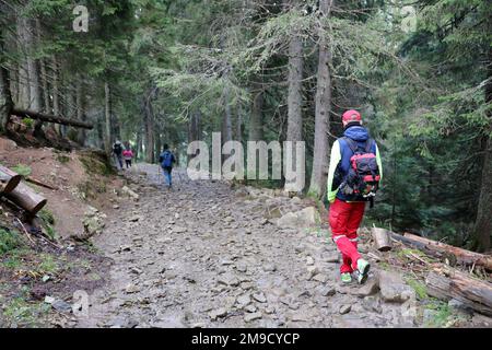 KARPATEN, UKRAINE - 8. OKTOBER 2022 Mount Hoverla. Karpaten in der Ukraine im Herbst. Touristen wandern durch Hügel und Wälder bis zum Gipfel des Hoverla Berges Stockfoto