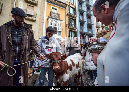 Pamplona, Spanien. 16. Januar 2023. Ein siebenmonatiger Ochse namens Canelo wurde heute von San Antón gesegnet, dem schutzpatron der Tiere in Pamplona. Kredit: SOPA Images Limited/Alamy Live News Stockfoto