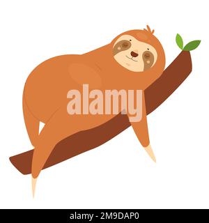 Entspannte Faultiere, die auf dem Baum schlafen. Fauler tropischer Bär auf Ast, fauler Zustand Vektorbild Stock Vektor